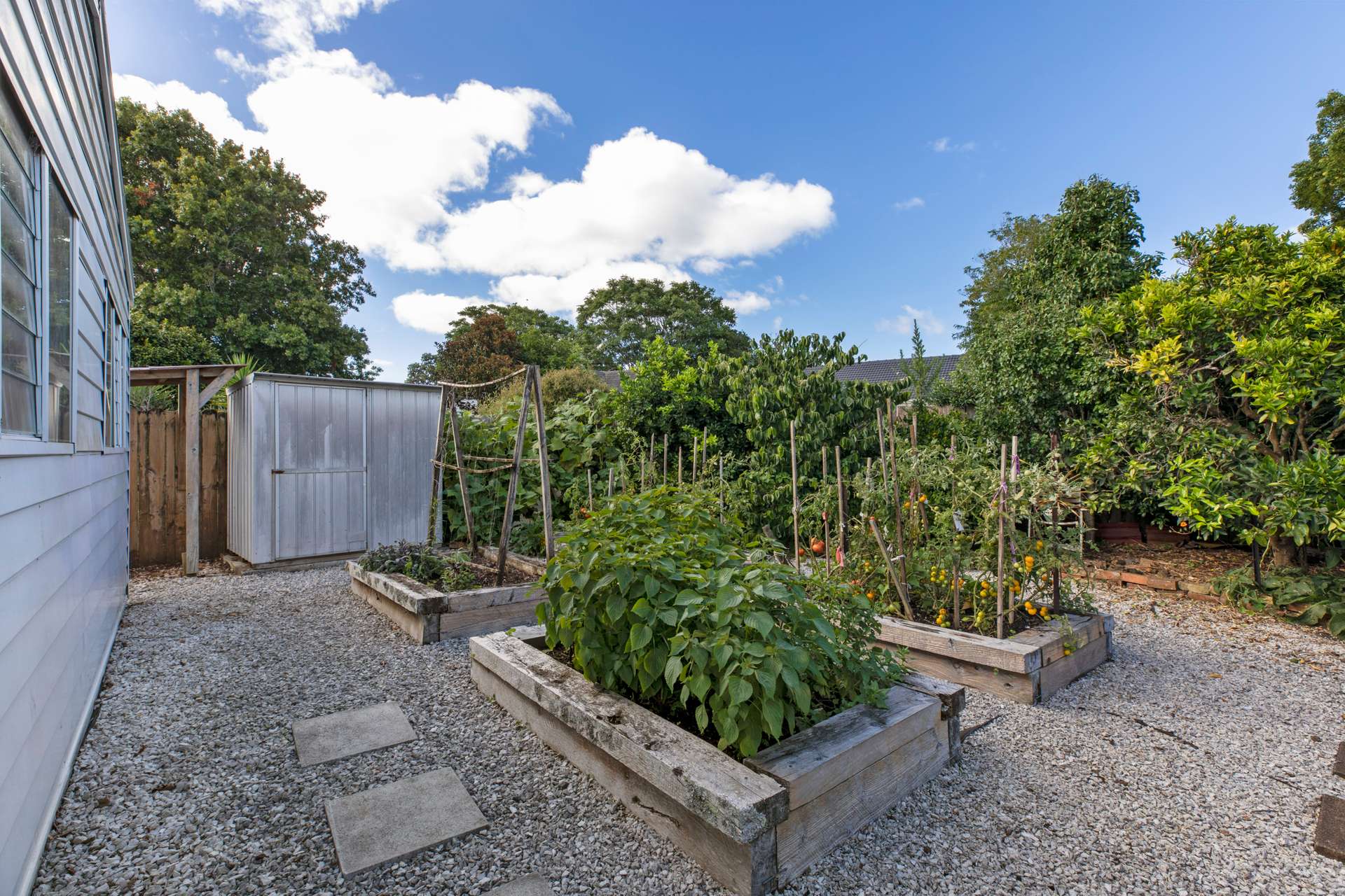 Garden Dream in Sandringham Arizto