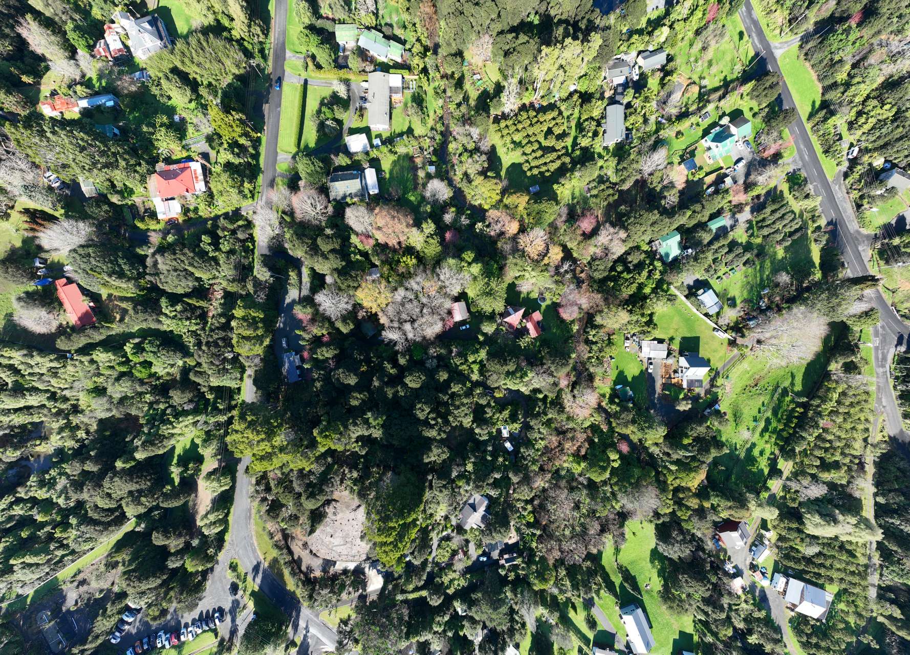 Coromandel Bush Section Hideaway! Arizto