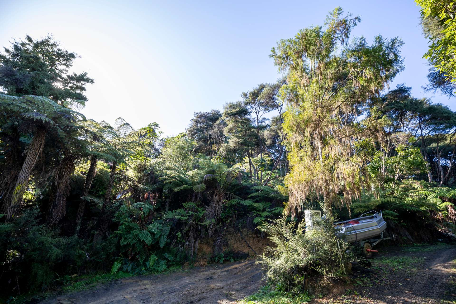 Coromandel Bush Section Hideaway! Arizto