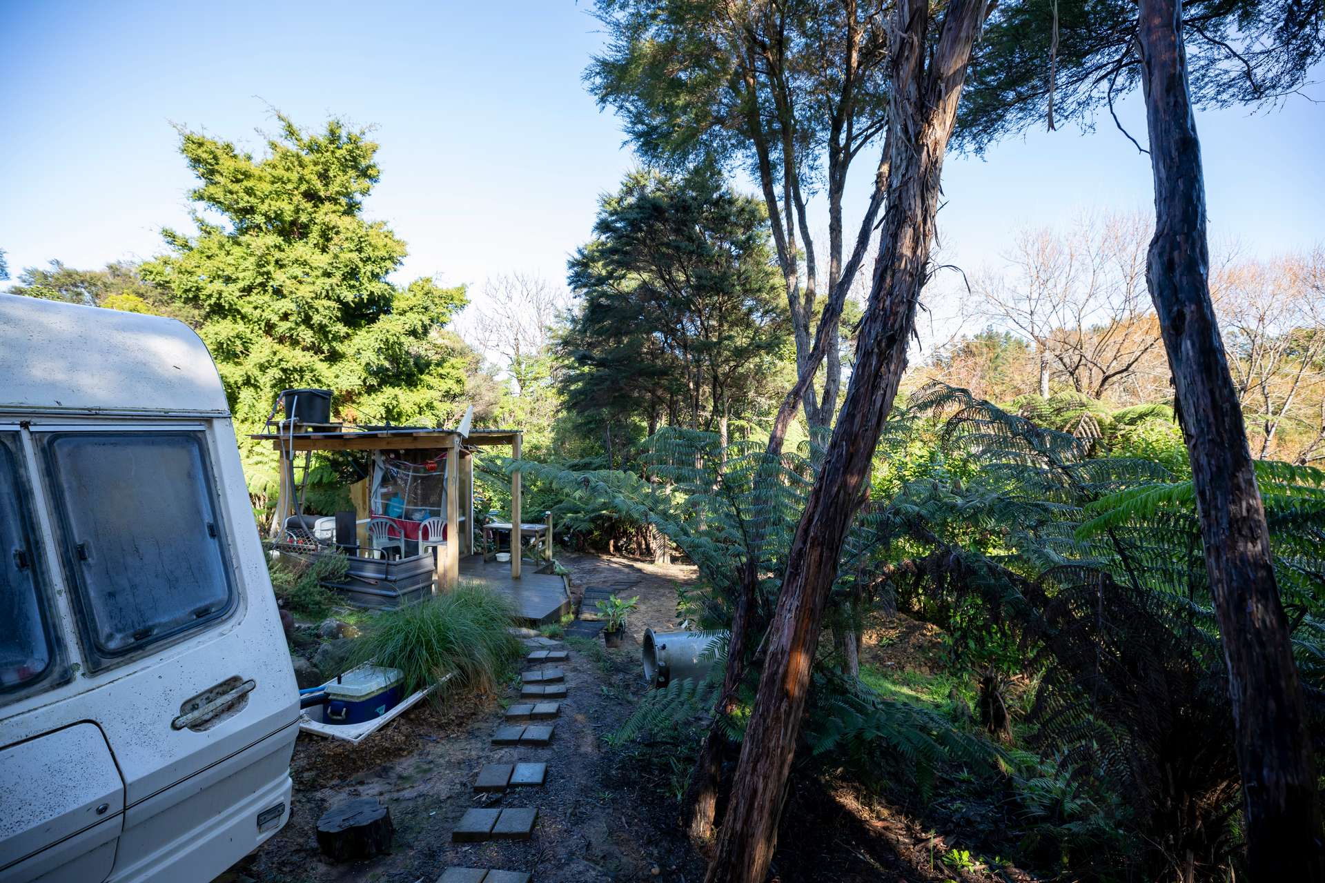 Coromandel Bush Section Hideaway! Arizto