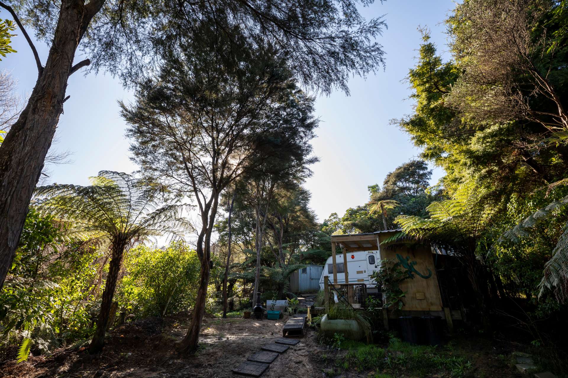 Coromandel Bush Section Hideaway! Arizto