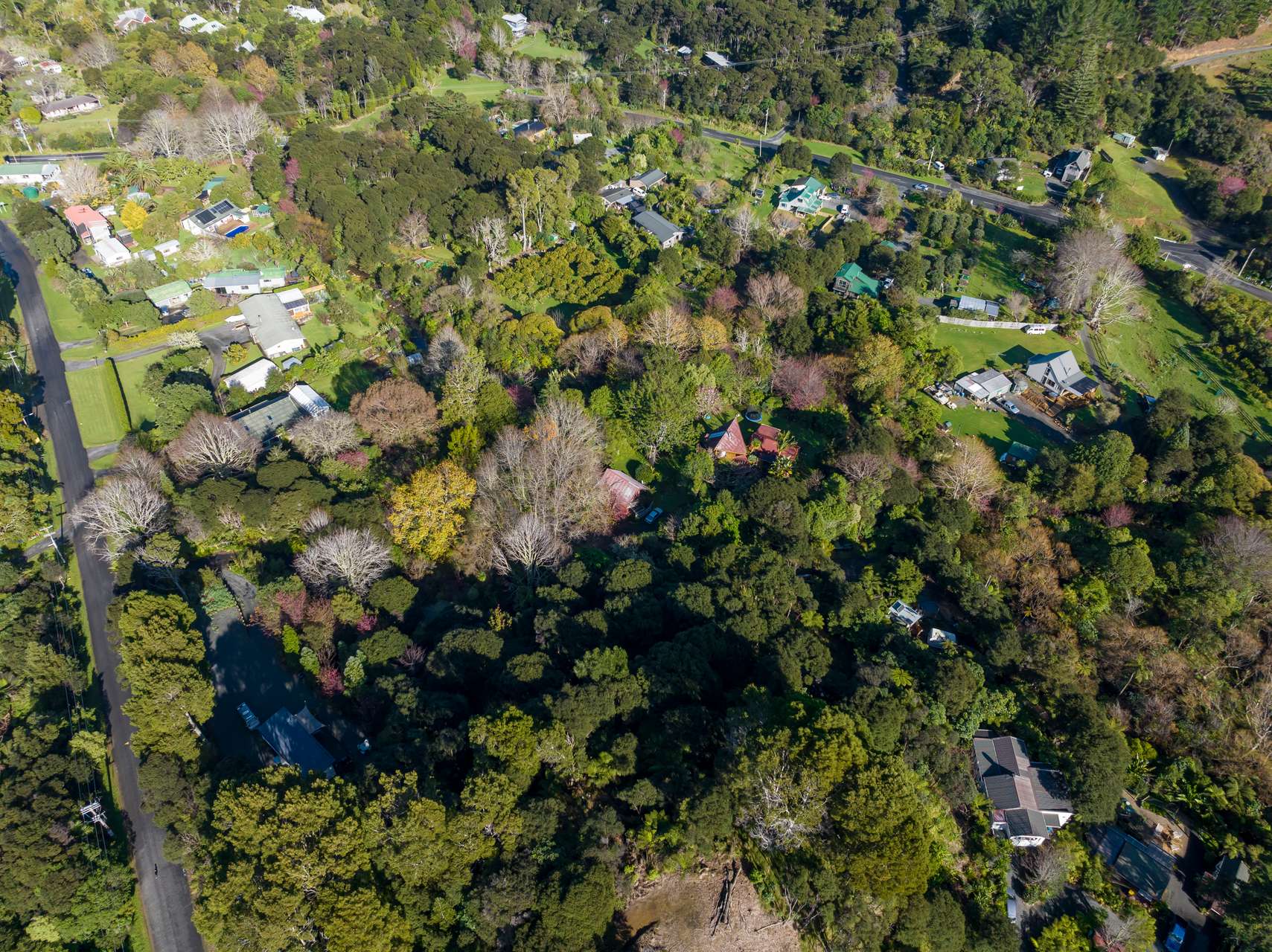 Coromandel Bush Section Hideaway! Arizto