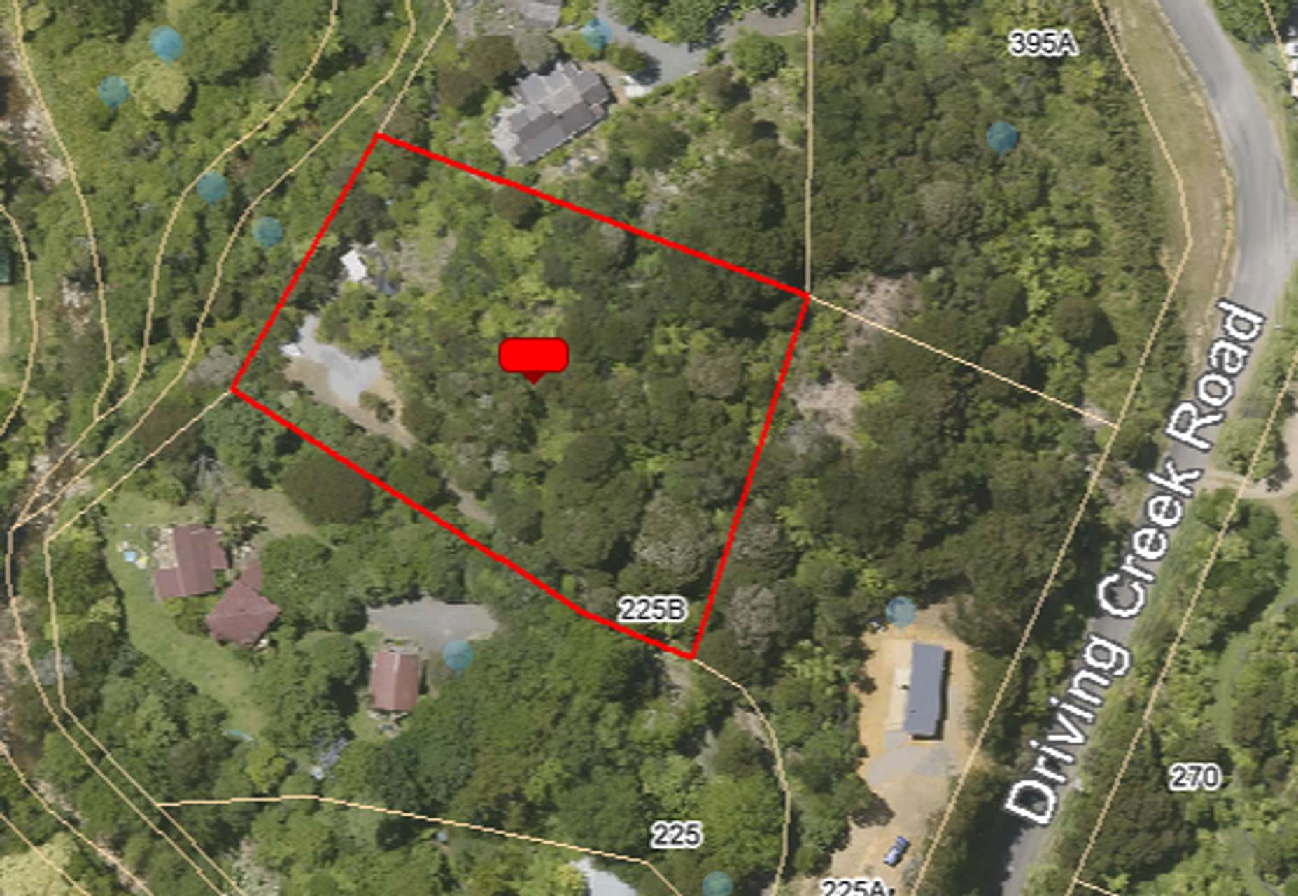 Coromandel Bush Section Hideaway! Arizto