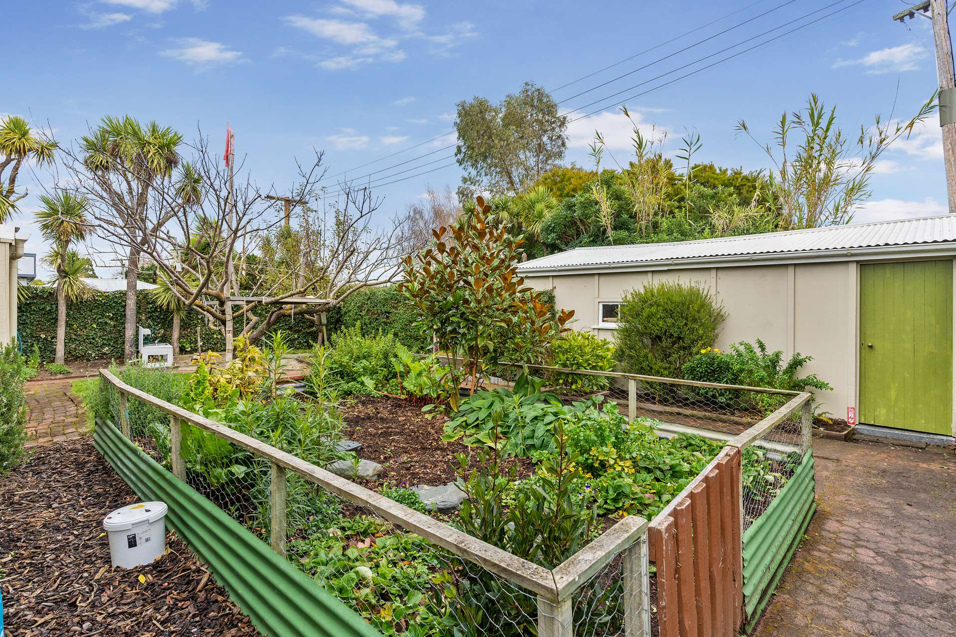 Great Location at Leithfield Beach! Arizto