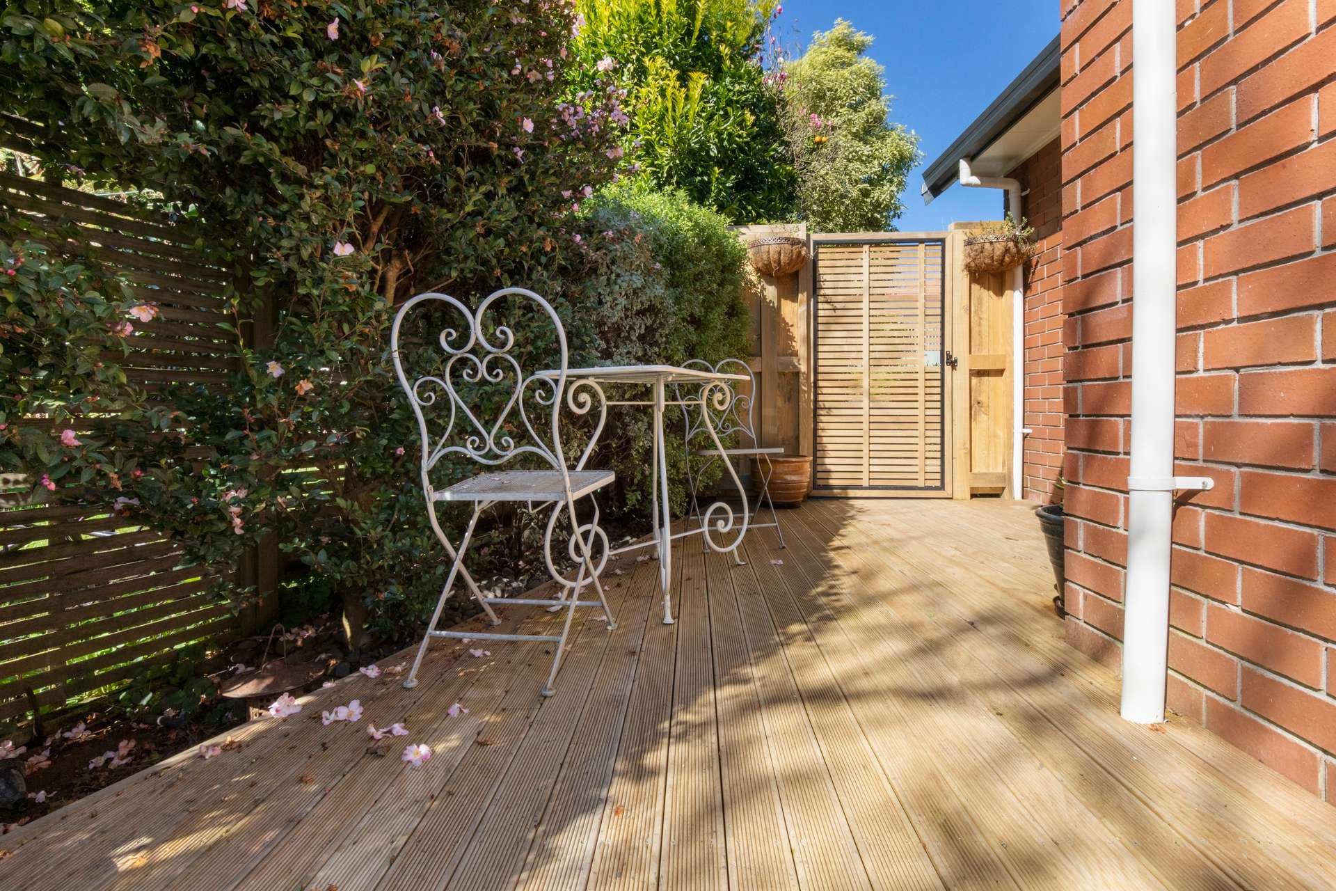 Your Own Private Oasis! | Arizto